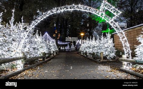 Christmas Decorations at Center Parcs Longleat Forest Stock Photo - Alamy