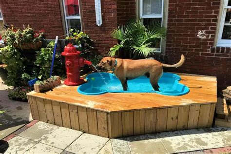 8 Easy DIY Dog Pool Ideas | Pet friendly backyard, Dog friendly ...