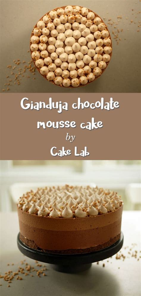 Gianduja Chocolate Mousse Cake | Cake Lab