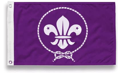 World Scout