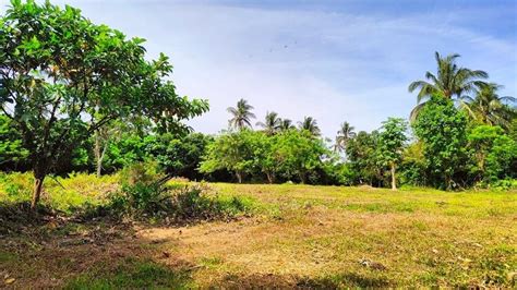 500 square meters Farm Lot for Sale in Santa Teresa, Alfonso Cavite