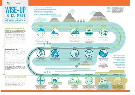 7 Nature based solutions ideas in 2020