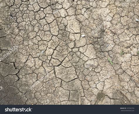 Mud Crack Texture Background Stock Photo 747342793 | Shutterstock