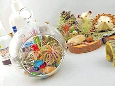 Safe Plants for a Snake’s Terrarium (with Pictures & Video)