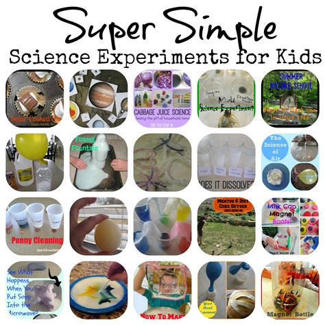 Simple Science Experiments for Kids | Science experiments kids, Easy science experiments, Apple ...