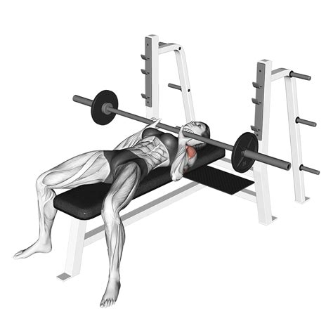 Close Grip Bench Press: Benefits and Muscles Worked (with Pictures!) - Inspire US