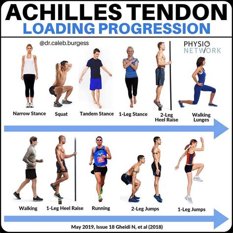 Achilles Tendon Loading Progressions — Physio Network