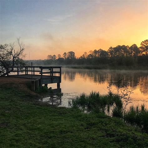 Lake Bastrop North Shore Park | The Dyrt