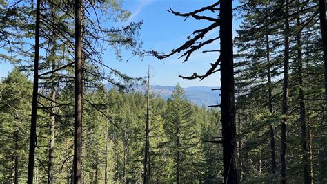 Dry Creek Falls Hike — Fantastic NW