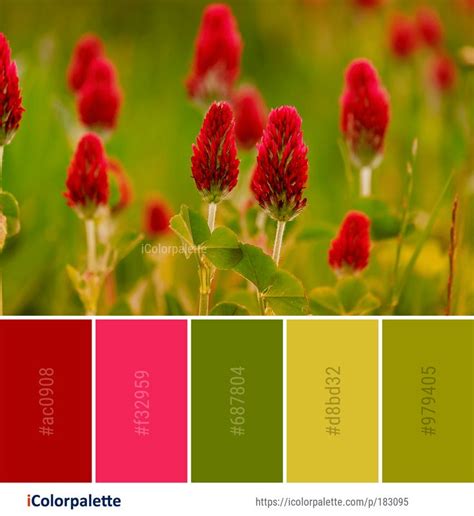 Color Palette ideas from 2123 Spring Images | iColorpalette Find Color, Color Of Life, Color Set ...