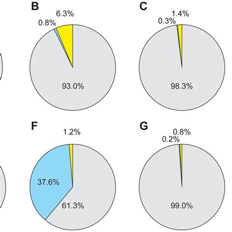 Genetic background of mice used at different stages of the study. (A ...