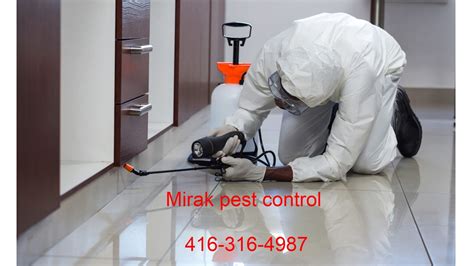 Pest control near me - local exterminator - Pest control Milton