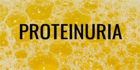 Understanding proteinuria causes symptoms & treatment