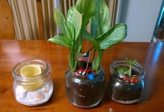 Mason Jar Plant Art | My daughter made for my apt | Forsaken Fotos | Flickr