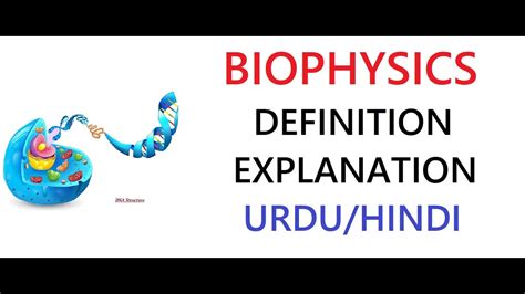 What is Biophysics? | Examples | Importance | Uses | Urdu/Hindi - YouTube