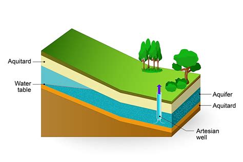 Water Table Aquifer Diagram