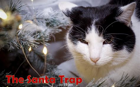 The Santa Trap! – by S Eden - Stoney deGeyter