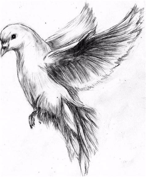 Pin by Maggie Vavak on Drawing | Bird drawings, Animal drawings, Drawings