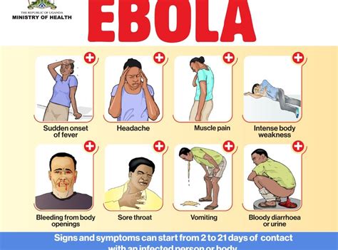 Signs and Symptoms of Ebola - Ministry of Health | Government of Uganda