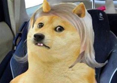 Side Eyeing Doge | Side Eyeing Chloe | Know Your Meme