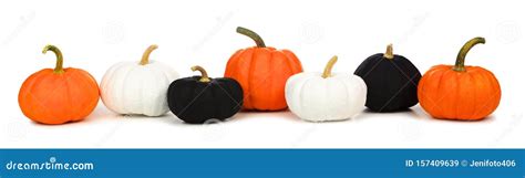 Halloween Border Of Orange, Black And White Pumpkins Isolated On White ...