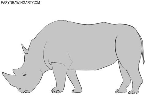 How to Draw a Rhinoceros | Easy Drawing Art | Drawings, Easy drawings, Rhinoceros