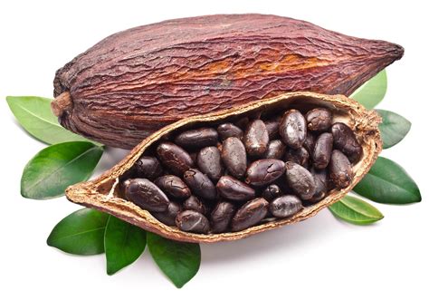 COCOBOD ensures Ghanaian cocoa products meet quality requirements - GEPA Buyer Portal