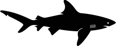 shark silhouette png - Clip Art Library