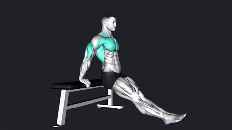 Bench Dips vs Lying Dumbbell Tricep Extension