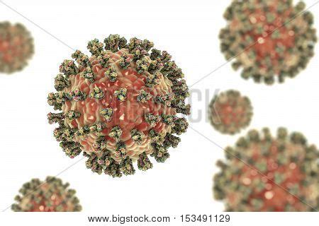 Parainfluenza Virus, Image & Photo (Free Trial) | Bigstock