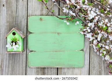 Blank Wood Sign By Pink Teal Stock Photo 562750582 | Shutterstock