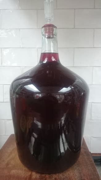 Blueberry Wine Recipe 1 Gallon Uk | Bryont Blog