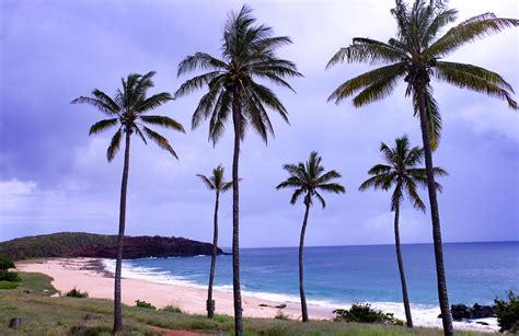 Restoring and recalling old Hawaii; a marvellous visit to the island of Molokai