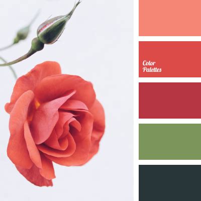 red and green | Color Palette Ideas
