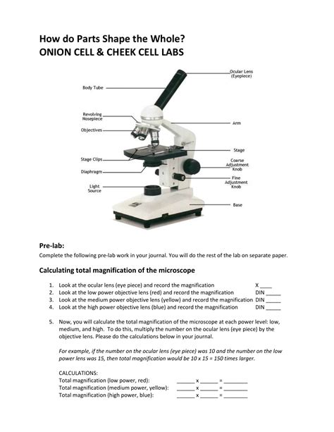 Calculating total magnification of the microscope