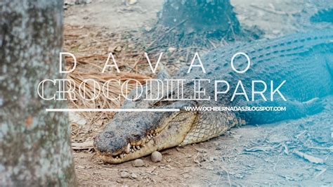 Discover Davao : Davao Crocodile Park - Ochi In The City