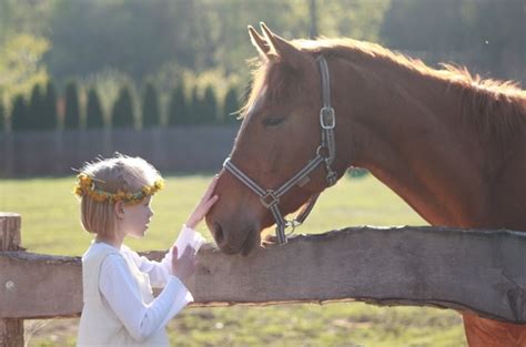 Little girl horse riding school Photos in .jpg format free and easy ...