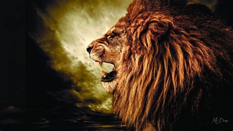 Roaring Lion Wallpapers - Top Free Roaring Lion Backgrounds ...