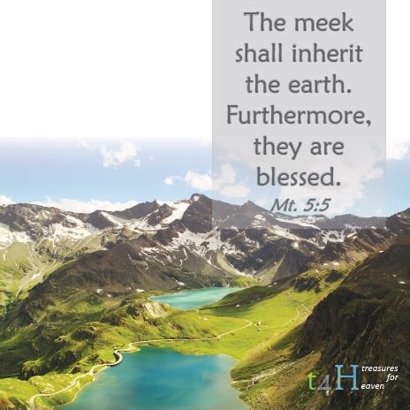 Treasures for Heaven: Blessed are the Meek!