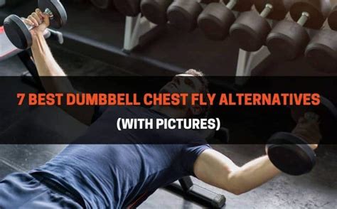 7 Best Dumbbell Chest Fly Alternatives (With Pictures ...