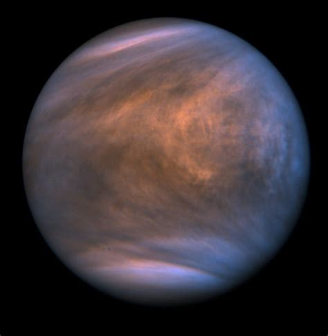 Venus Might Host Life, New Discovery Suggests - Scientific American