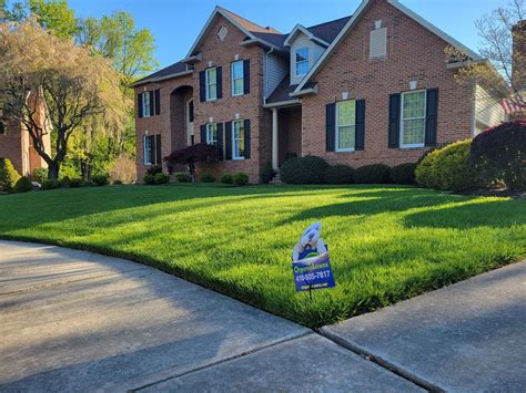 The Science Behind Natural Lawn Care: Exploring the Benefits and Techniques - Organic Lawns