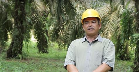 An oil palm farmer’s positive impact on the environment - Roundtable on Sustainable Palm Oil (RSPO)