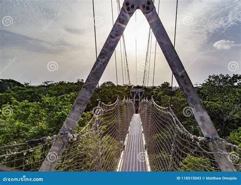 Sun Setting Over The Longest Canopy Walkway In Africa As Seen At The ...