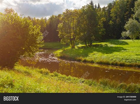 Summer Forest Image & Photo (Free Trial) | Bigstock