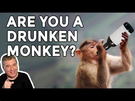 'Drunken monkey theory' suggests humans inherited a taste for alcohol ...