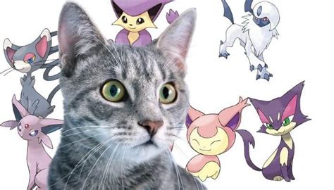 Cat Pokemon: 38 Cat-Like Pokemon - Tuxedo Cat