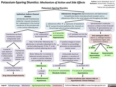 Potassium-Sparing Diuretics: Mechanism of Action and Side Effects | Calgary Guide