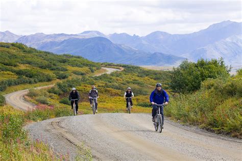 Independent Activities | Denali National Park Alaska