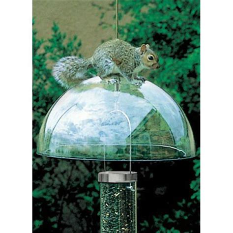 Droll Yankees Inc Squirrel Baffle Squirrel Guard - Green - Walmart.com